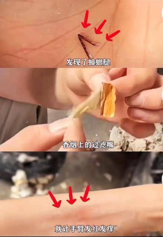 比想象中的更加恶心难怪女性会得妇科病AG真人旗舰厅315晚会大爆雷出现了(图14)